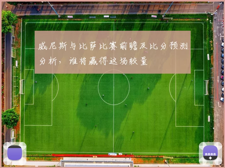 威尼斯与比萨比赛前瞻及比分预测分析，谁将赢得这场较量