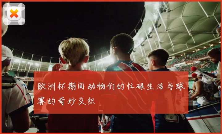 欧洲杯期间动物们的忙碌生活与球赛的奇妙交织